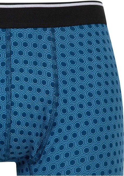 Regular Fit 3'lü Boxer C1534AX24AU