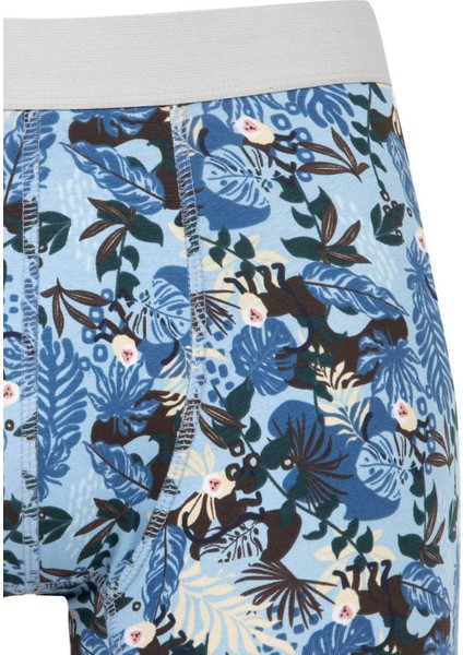 Regular Fit Hayvan Baskılı 3'lü Boxer C9537AX24WN