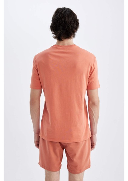 Regular Fit Bisiklet Yaka Baskılı Kısa Kollu Tişört C5650AX24HS