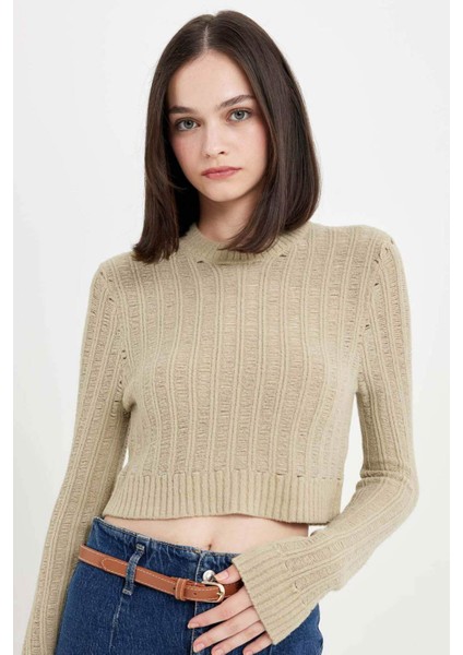 Regular Fit Crop Bisiklet Yaka Örgü Delikli Triko Kazak C6321AX24WN