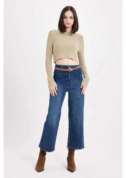 Regular Fit Crop Bisiklet Yaka Örgü Delikli Triko Kazak C6321AX24WN