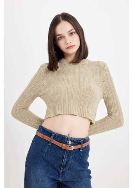 Regular Fit Crop Bisiklet Yaka Örgü Delikli Triko Kazak C6321AX24WN