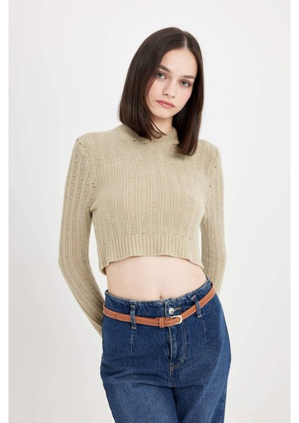 Regular Fit Crop Bisiklet Yaka Örgü Delikli Triko Kazak C6321AX24WN