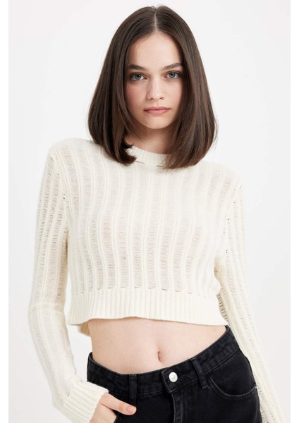 Regular Fit Crop Bisiklet Yaka Örgü Delikli Triko Kazak C6321AX24WN