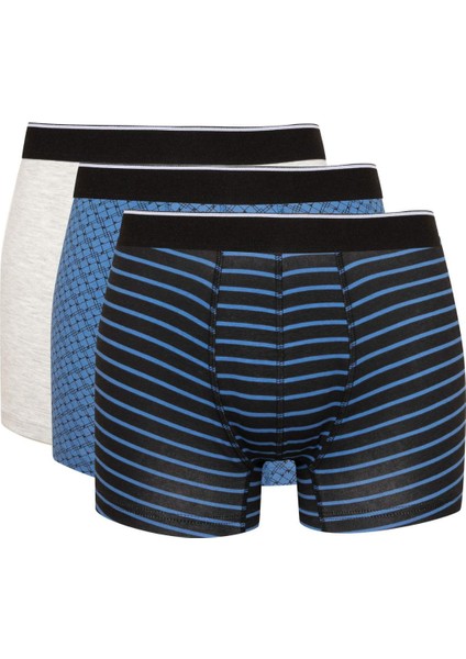 Regular Fit Çizgili 3'lü Boxer C9573AX24CW