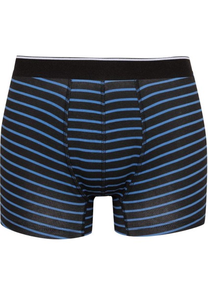 Regular Fit Çizgili 3'lü Boxer C9573AX24CW