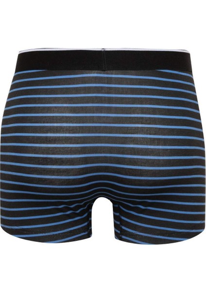 Regular Fit Çizgili 3'lü Boxer C9573AX24CW