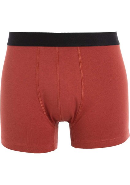 Regular Fit 3'lü Boxer C9571AX24CW