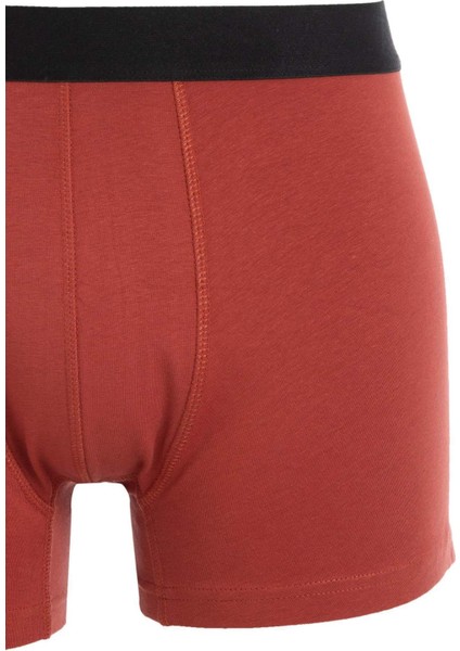 Regular Fit 3'lü Boxer C9571AX24CW