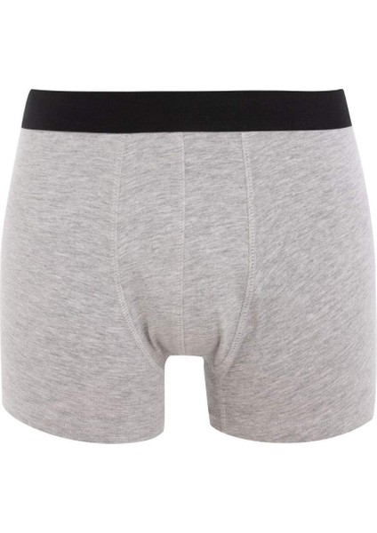 Regular Fit 3'lü Boxer C9571AX24CW