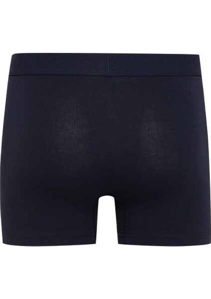 Regular Fit 3'lü Boxer C9572AX24CW