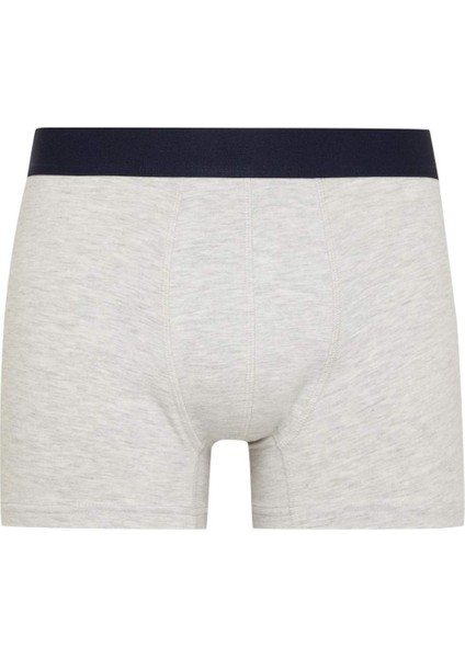 Regular Fit 3'lü Boxer C9572AX24CW