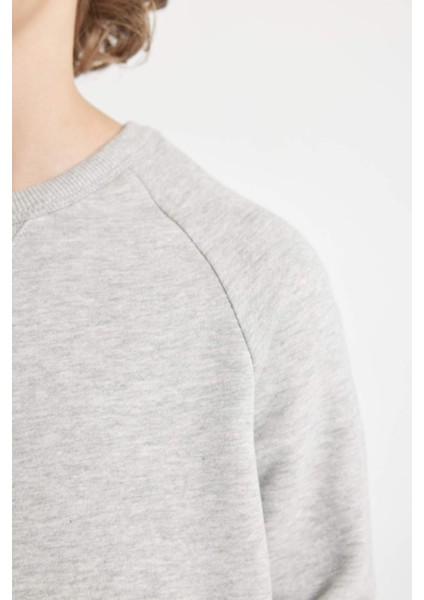 Erkek Çocuk Gri Bisiklet Yaka Pamuklu Basic Düz Okul Sweatshirt A4246A824AU