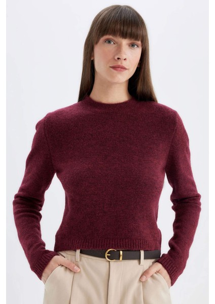 Regular Fit Bisiklet Yaka Premium Basic Düz Crop Triko Kazak C9047AX24WN