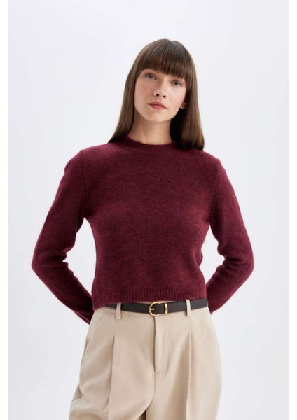 Regular Fit Bisiklet Yaka Premium Basic Düz Crop Triko Kazak C9047AX24WN