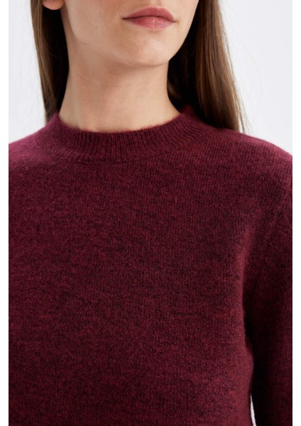 Regular Fit Bisiklet Yaka Premium Basic Düz Crop Triko Kazak C9047AX24WN