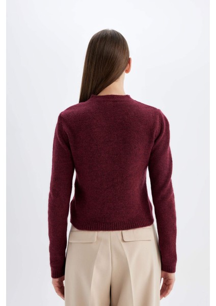 Regular Fit Bisiklet Yaka Premium Basic Düz Crop Triko Kazak C9047AX24WN