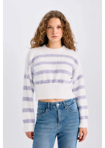 Regular Fit Çizgili Bisiklet Yaka Triko Kazak R1285AZ24CW