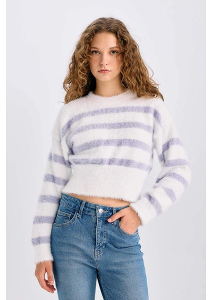 Regular Fit Çizgili Bisiklet Yaka Triko Kazak R1285AZ24CW