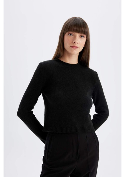 Regular Fit Bisiklet Yaka Premium Basic Düz Crop Triko Kazak C9047AX24WN