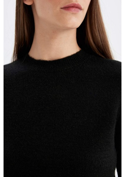 Regular Fit Bisiklet Yaka Premium Basic Düz Crop Triko Kazak C9047AX24WN