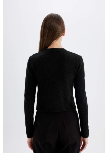 Regular Fit Bisiklet Yaka Premium Basic Düz Crop Triko Kazak C9047AX24WN