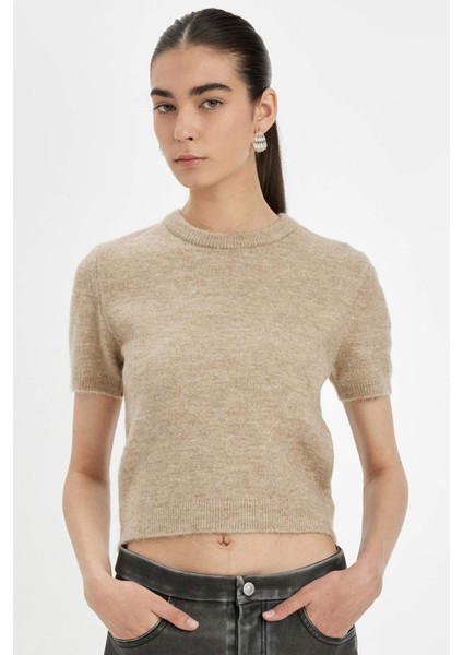 Regular Fit Bisiklet Yaka Premium Basic Düz Kısa Kollu Triko Kazak C9049AX24WN