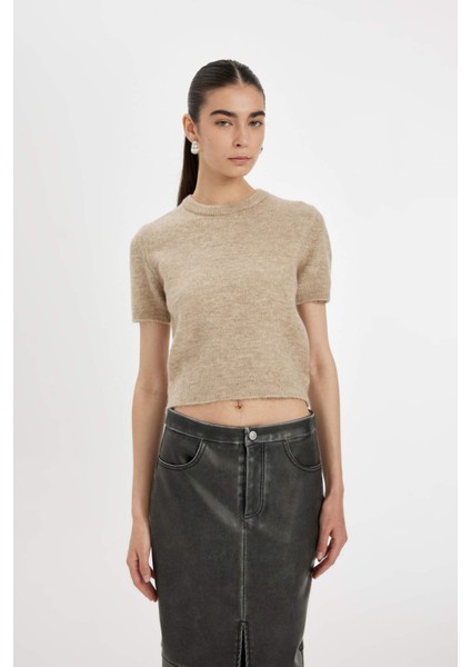 Regular Fit Bisiklet Yaka Premium Basic Düz Kısa Kollu Triko Kazak C9049AX24WN