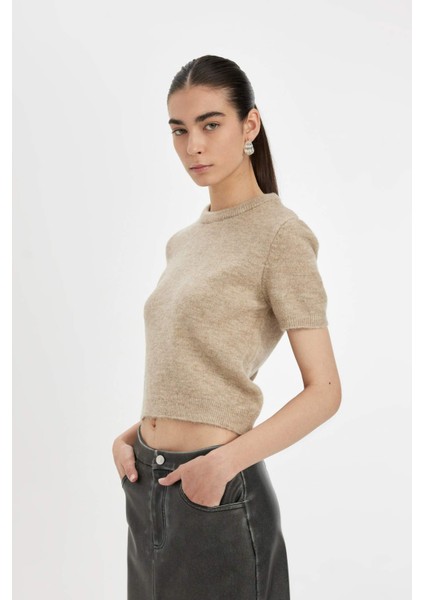 Regular Fit Bisiklet Yaka Premium Basic Düz Kısa Kollu Triko Kazak C9049AX24WN