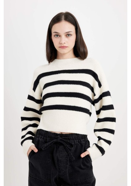 Regular Fit Çizgili Bisiklet Yaka Triko Kazak R1285AZ24CW