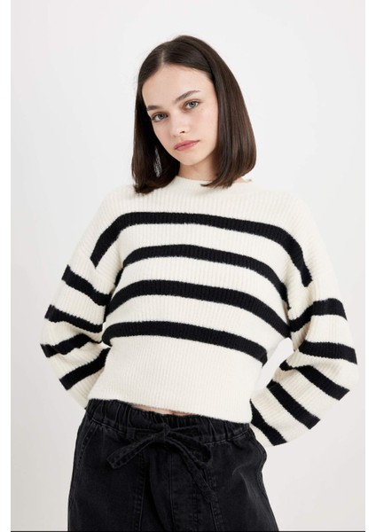 Regular Fit Çizgili Bisiklet Yaka Triko Kazak R1285AZ24CW