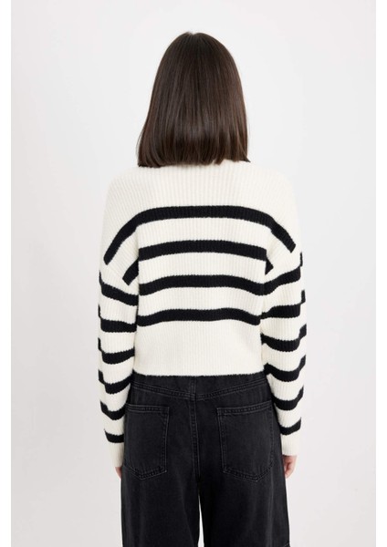 Regular Fit Çizgili Bisiklet Yaka Triko Kazak R1285AZ24CW