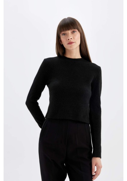 Regular Fit Bisiklet Yaka Premium Basic Düz Crop Triko Kazak C9047AX24WN