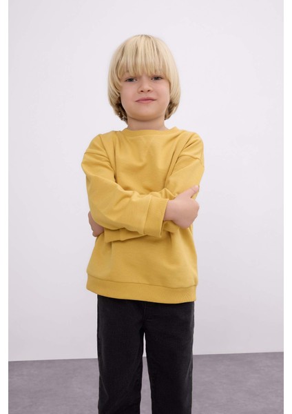 Erkek Bebek Bisiklet Yaka İçi Yumuşak Tüylü Basic Düz Sweatshirt A7433A524WN