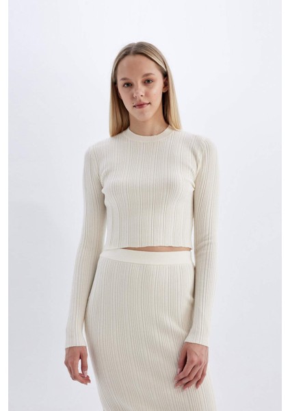 Slim Fit Dar Kesim Bisiklet Yaka Triko Kazak A2057AX24AU