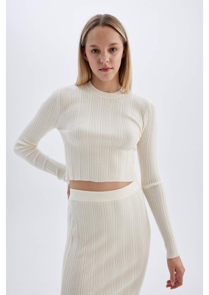 Slim Fit Dar Kesim Bisiklet Yaka Triko Kazak A2057AX24AU