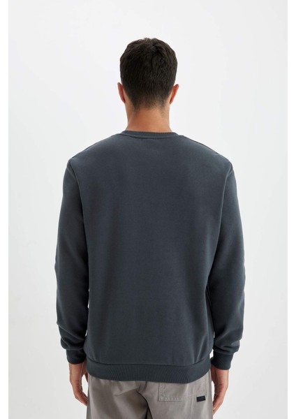 Regular Fit Bisiklet Yaka Kalın Basic Düz Sweatshirt T3777AZ24AU