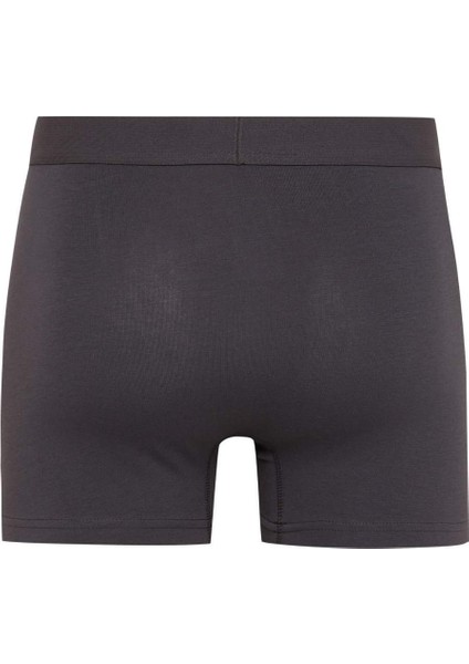 Regular Fit 3'lü Boxer C9575AX24AU