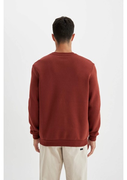 Regular Fit Bisiklet Yaka Kalın Basic Düz Sweatshirt T3777AZ24AU