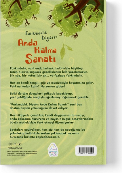 Harika Baydar Hasırcı - Farkındalık Diyarı: Anda Kalma Sanatı modelleri