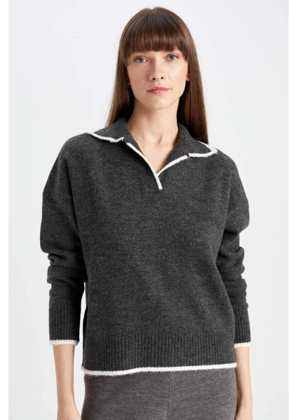 Regular Fit Yumuşak Dokulu Polo Yaka Triko Kazak A3868AX24WN