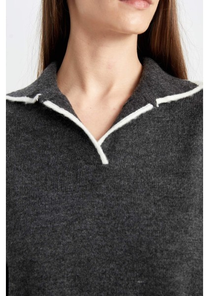 Regular Fit Yumuşak Dokulu Polo Yaka Triko Kazak A3868AX24WN