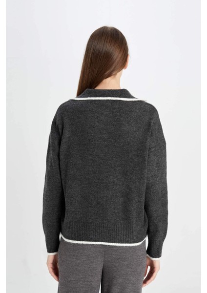 Regular Fit Yumuşak Dokulu Polo Yaka Triko Kazak A3868AX24WN