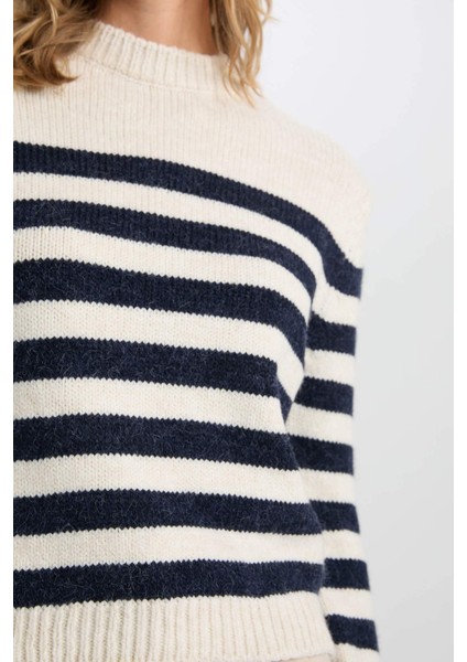 Regular Fit Yumuşak Dokulu Bisiklet Yaka Düğmeli Çizgili Triko Kazak C9055AX24WN