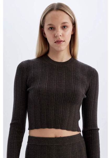 Slim Fit Dar Kesim Bisiklet Yaka Triko Kazak A2057AX24AU