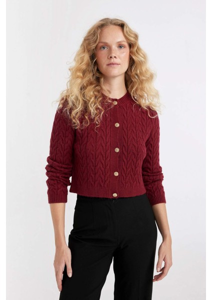 Regular Fit Bisiklet Yaka Saç Örgü Desenli Düğmeli Triko Hırka C9044AX24WN