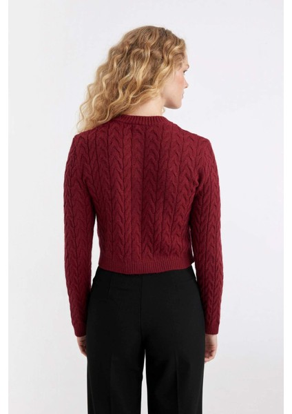 Regular Fit Bisiklet Yaka Saç Örgü Desenli Düğmeli Triko Hırka C9044AX24WN