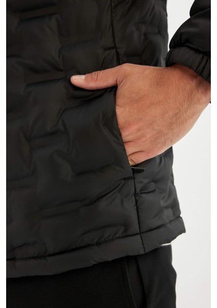 Su Geçirmez Kapitone Slim Fit Dar Kesim Dik Yaka Astarlı Fermuarlı Cepli Kışlık Şişme Mont D1234AX24WN