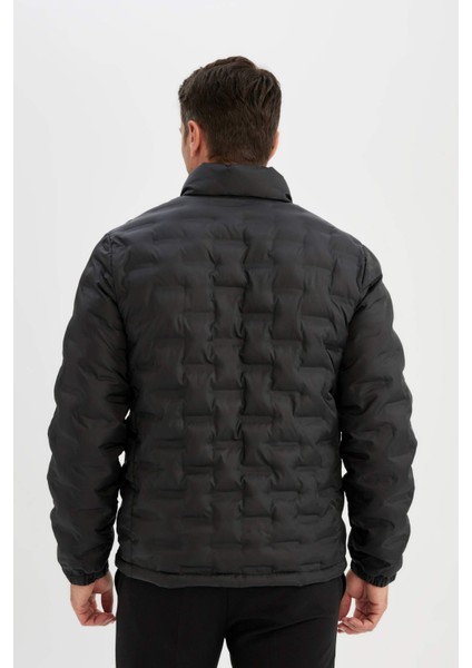 Su Geçirmez Kapitone Slim Fit Dar Kesim Dik Yaka Astarlı Fermuarlı Cepli Kışlık Şişme Mont D1234AX24WN