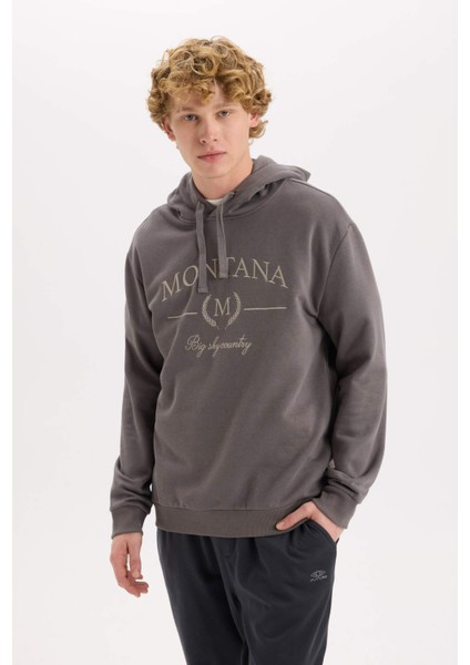 Relax Fit Kapüşonlu Baskılı Kalın Sweatshirt D2681AX24AU